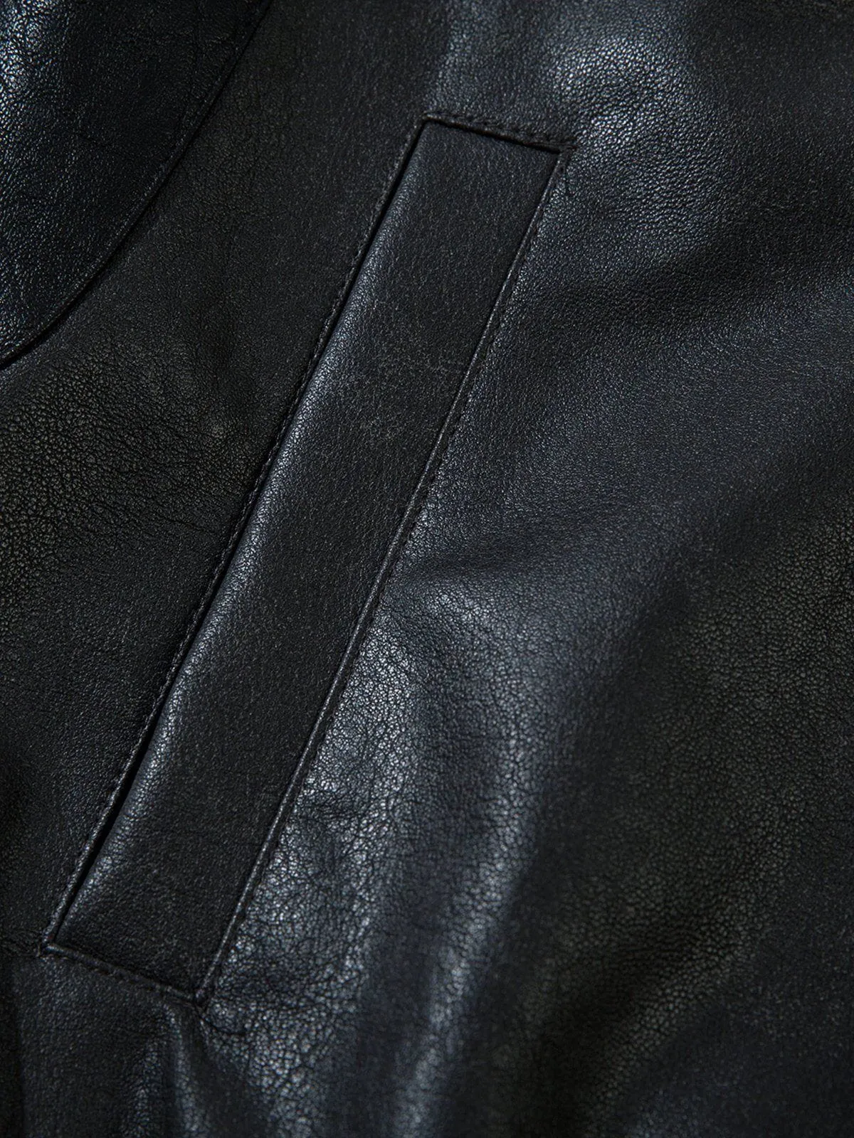 Aelfric Eden Color Blocking Stripe Faux Leather Jacket
