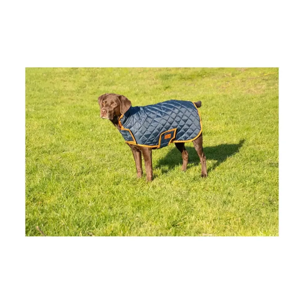 Benji & Flo Quilted Dog Coat