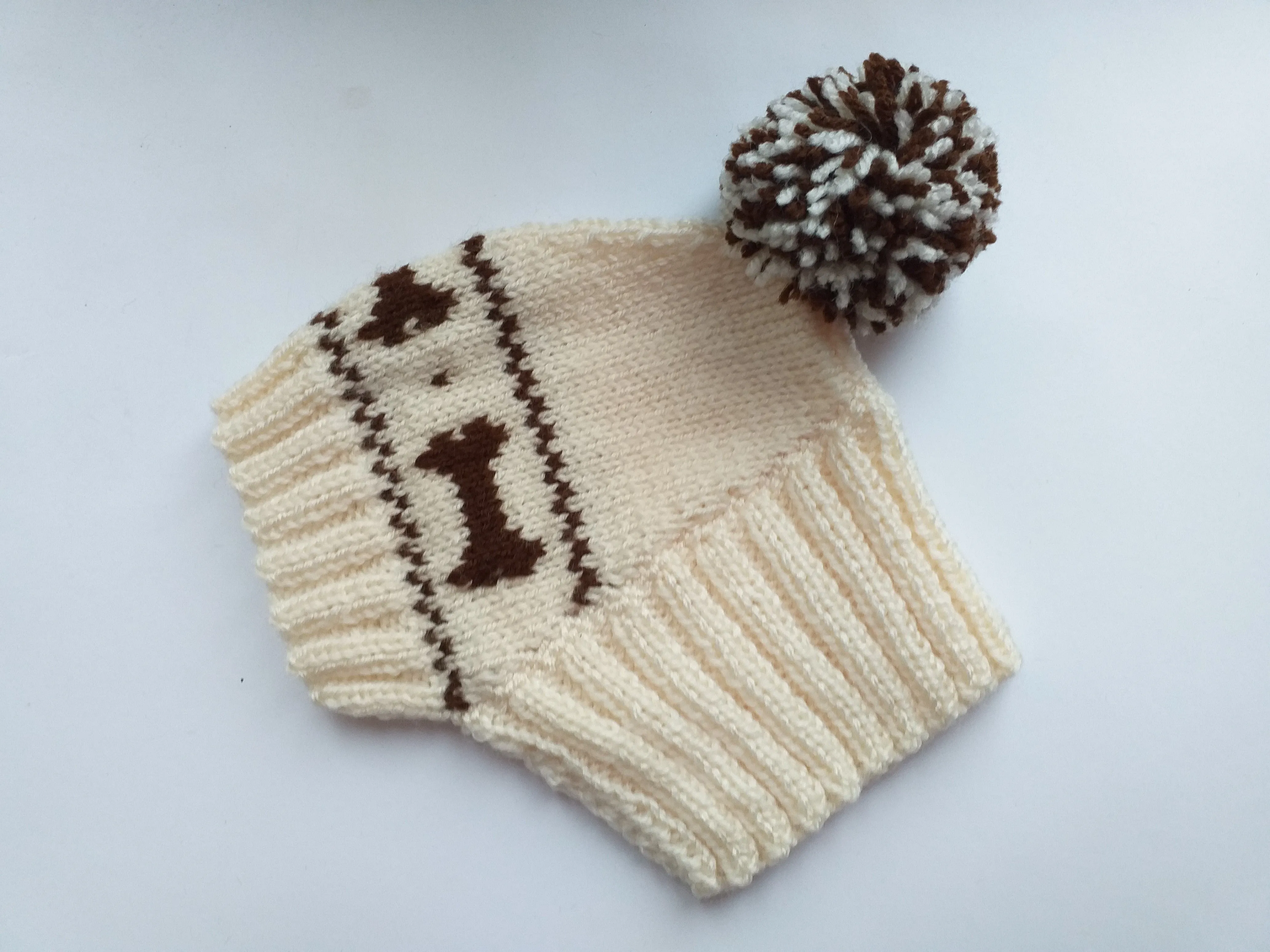 Clothing for dog hat with bones