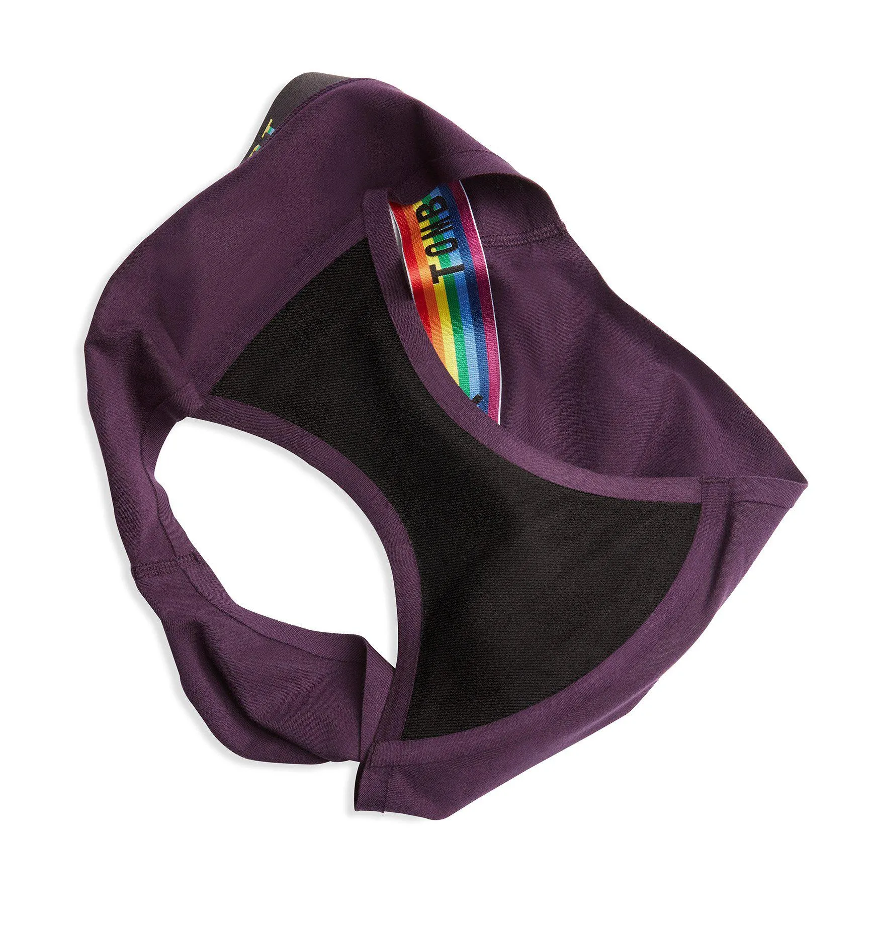 First Line Leakproof Bikini - Plum Rainbow