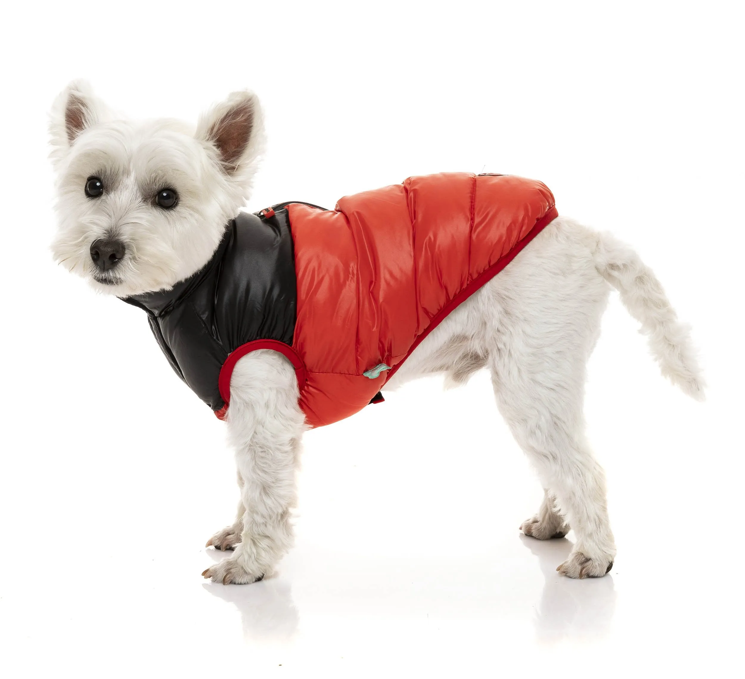 Harlem Puffer Jacket - Red