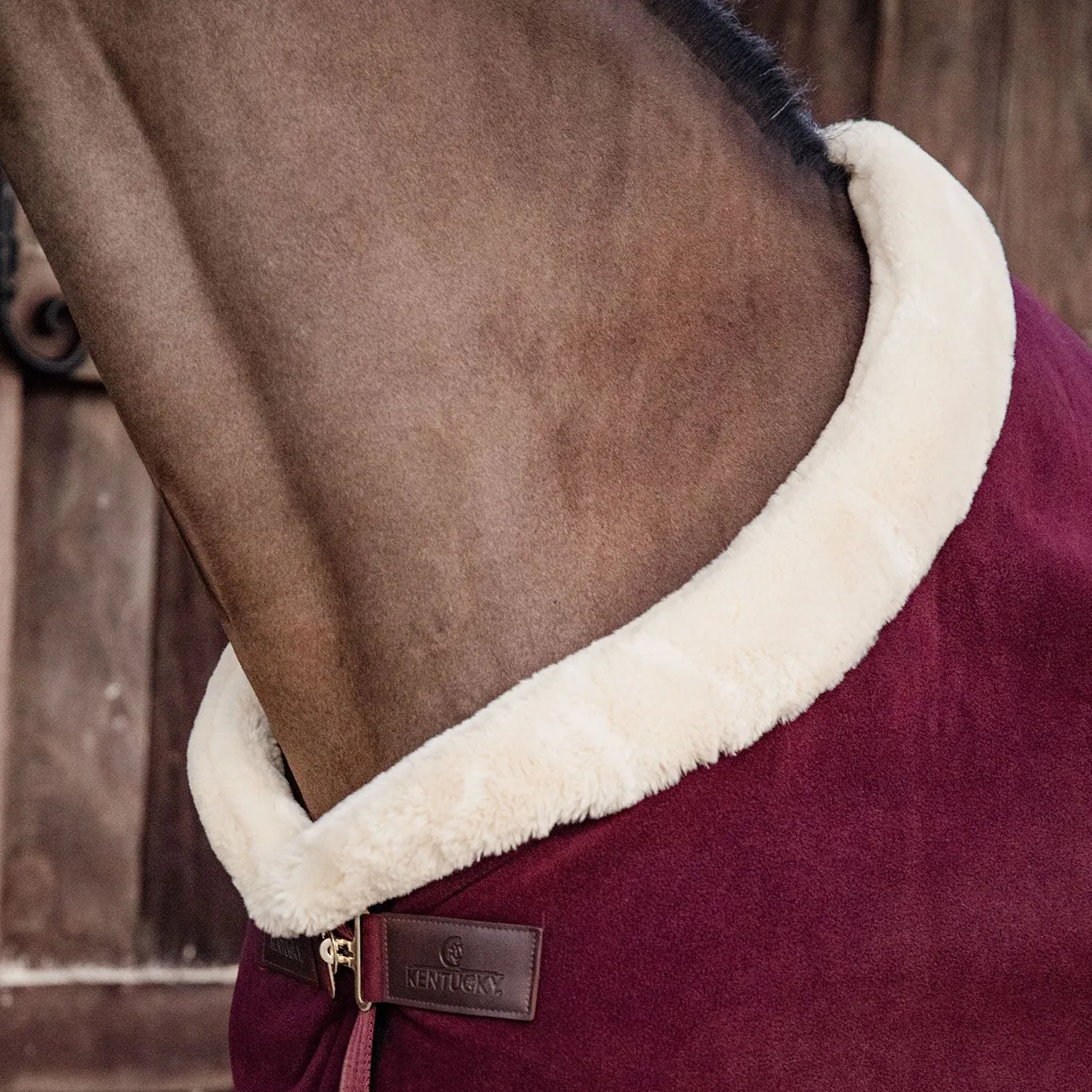 Kentucky Horsewear Heavy Fleece Show Rug - Bordeaux