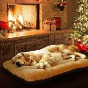 Luxury Paws Retreat Lounger