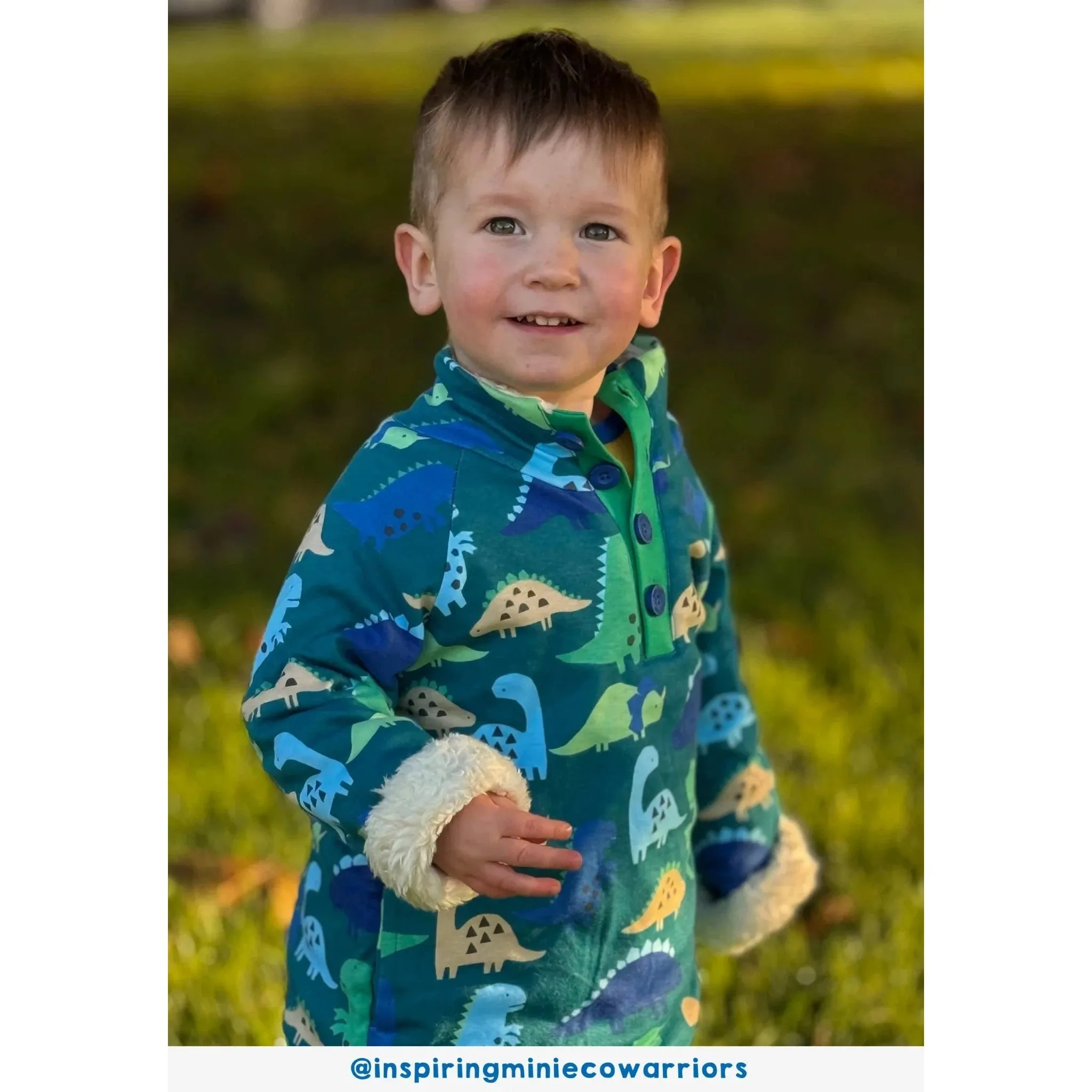 Tonal Dinosaur Print Fleece Sweatshirt