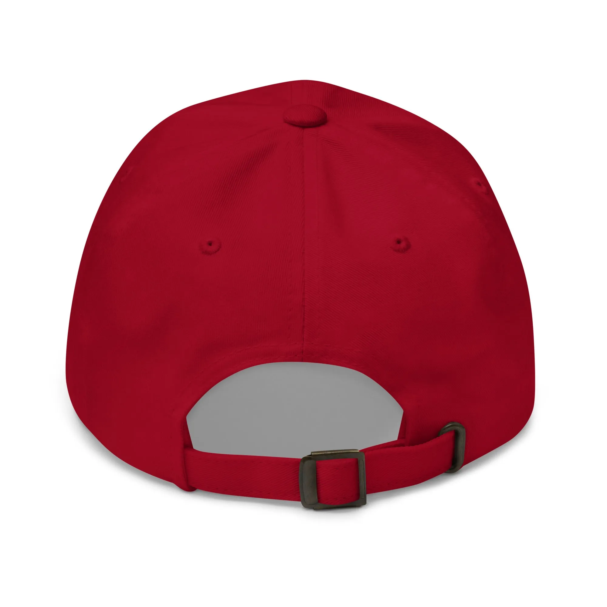 VOTE Baseball Hat